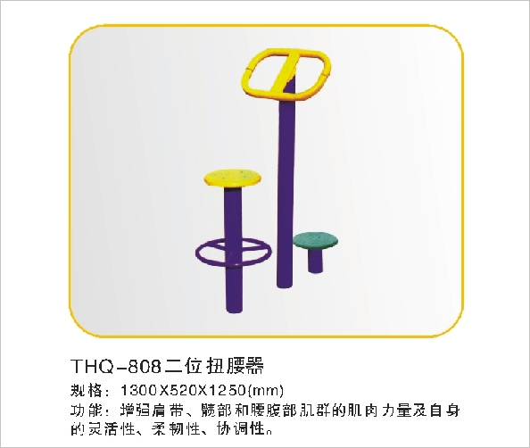 THQ-808二位扭腰器